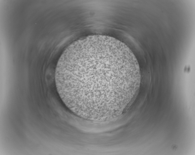 X0000093390043200711011320