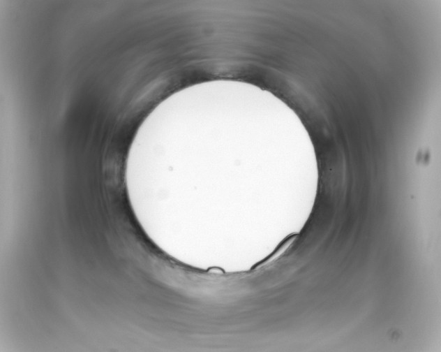 X0000093390044200711011320
