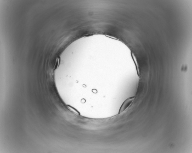 X0000093390045200711011320