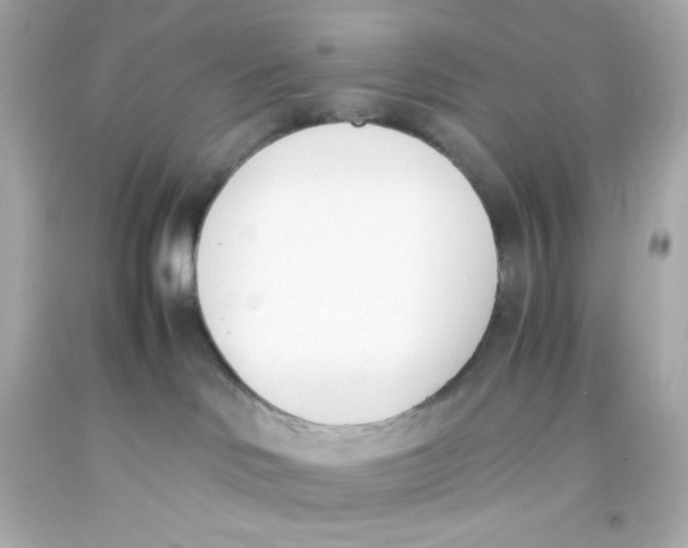 X0000093390046200711011320