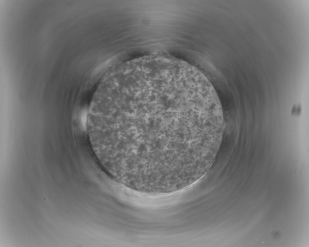 X0000093390047200711011320