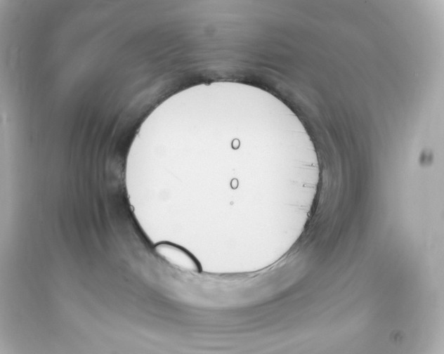 X0000093390048200711011320