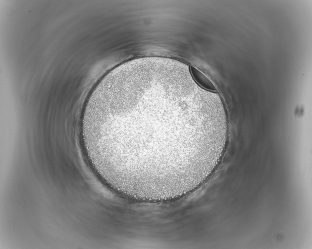 X0000093390049200711011319