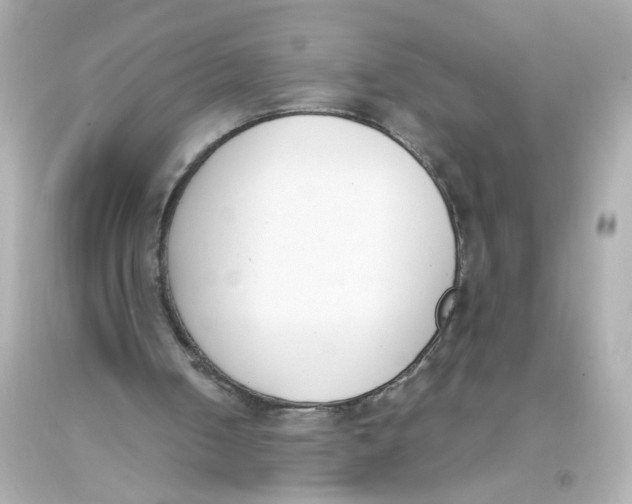 X0000093390050200711011319