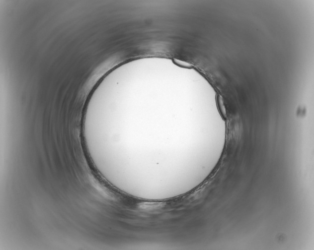 X0000093390051200711011319