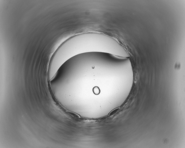 X0000093390052200711011319