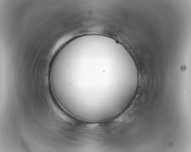 X0000093390054200711011319