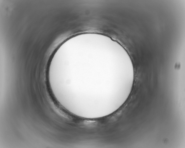 X0000093390055200711011319