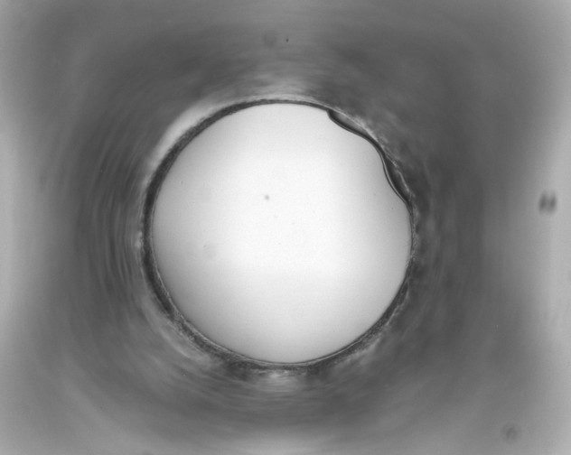 X0000093390056200711011319