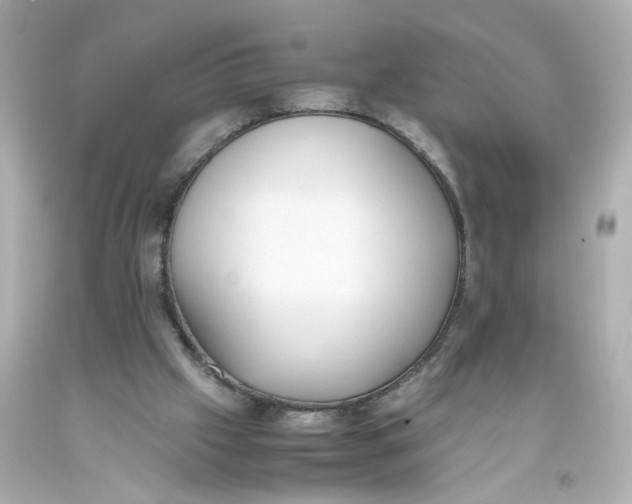 X0000093390057200711011319