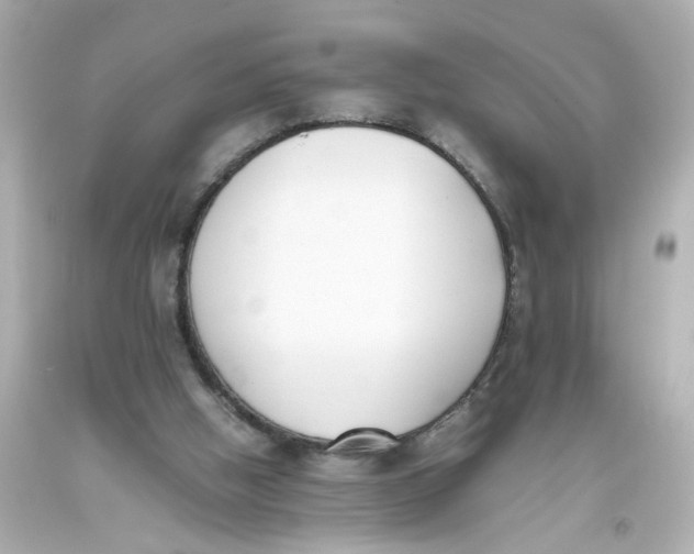 X0000093390058200711011319