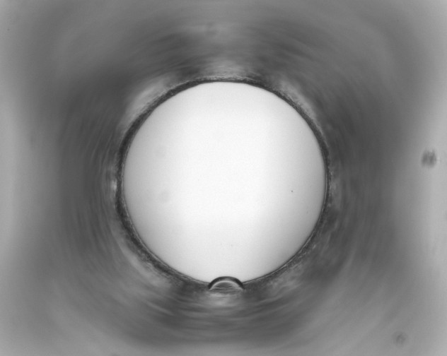 X0000093390059200711011319