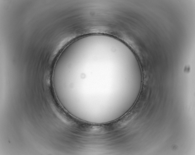 X0000093390060200711011319