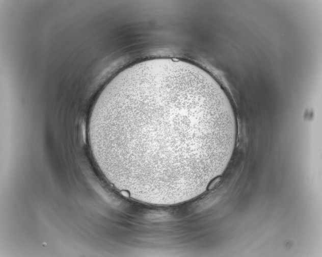 X0000093390061200711011319