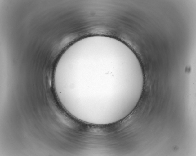 X0000093390062200711011320