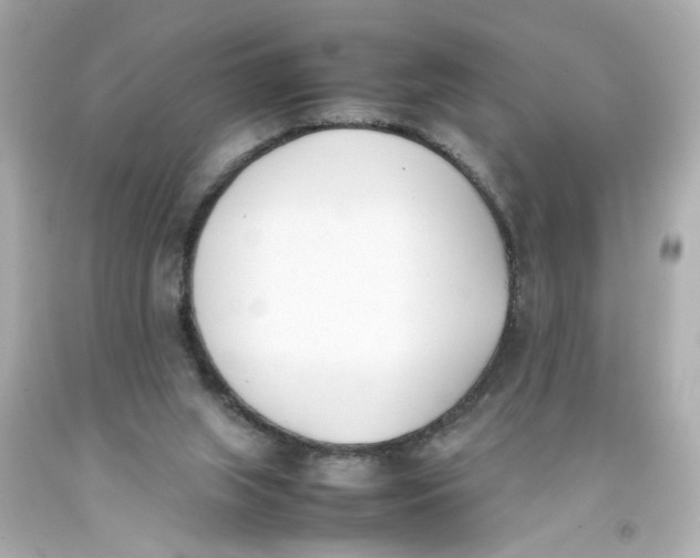 X0000093390063200711011320