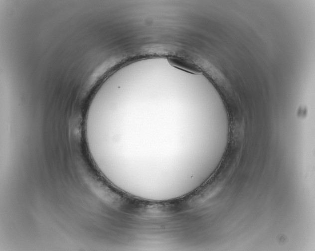 X0000093390064200711011320