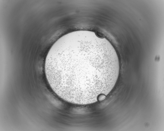 X0000093390065200711011320