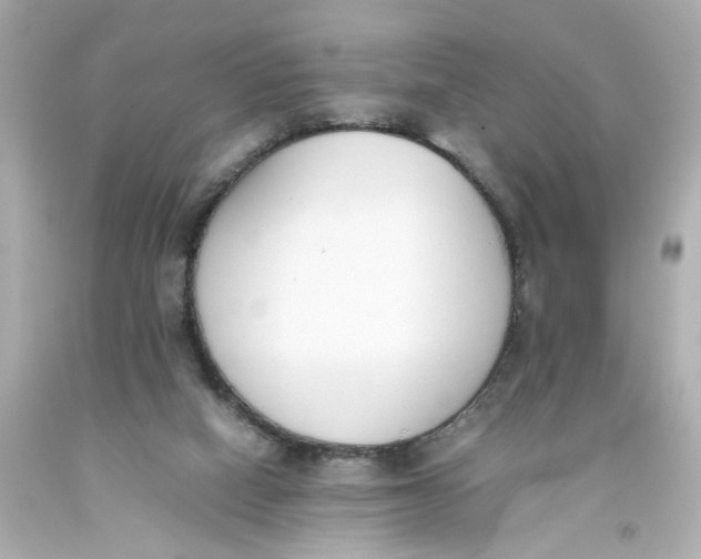 X0000093390066200711011320