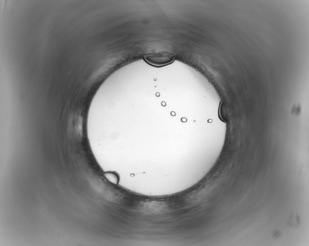 X0000093390067200711011320