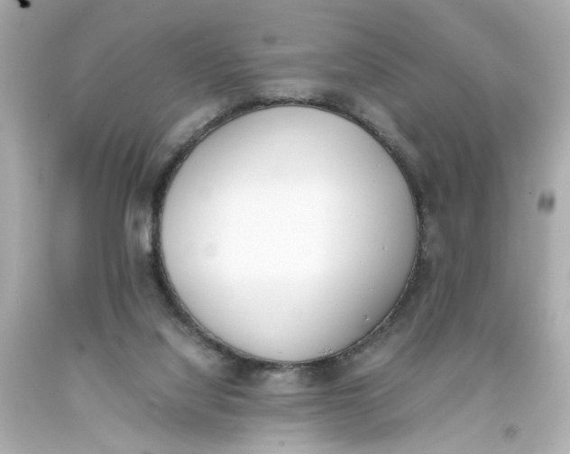 X0000093390068200711011320