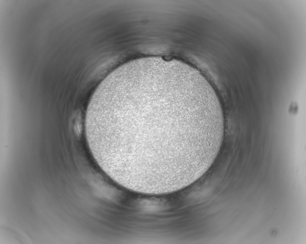 X0000093390069200711011320