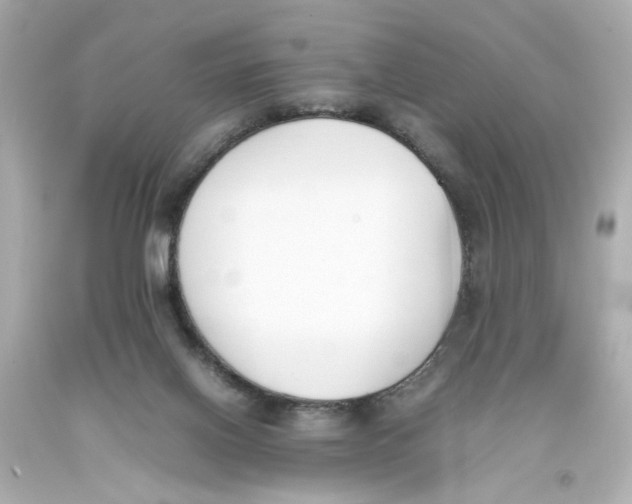 X0000093390070200711011320