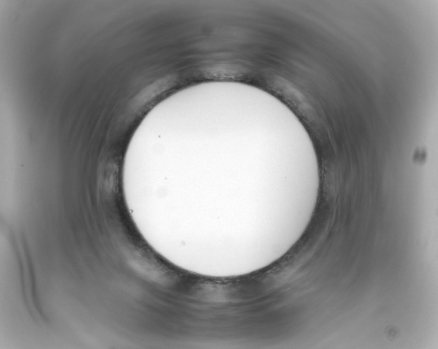 X0000093390071200711011320