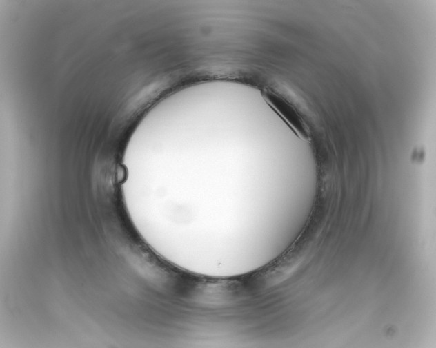 X0000093390072200711011320