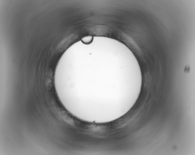 X0000093390073200711011320