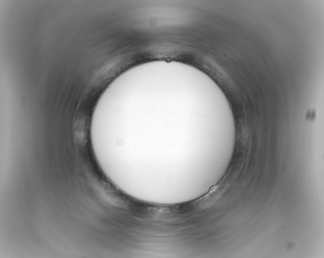 X0000093390074200711011320