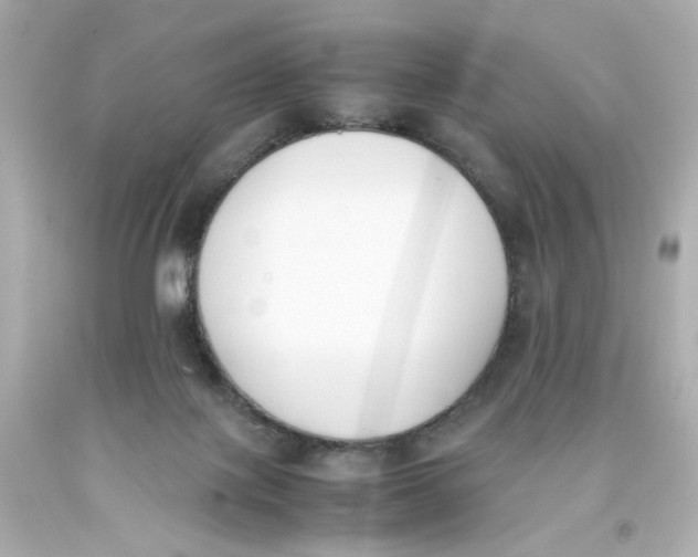 X0000093390075200711011320