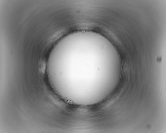 X0000093390076200711011320