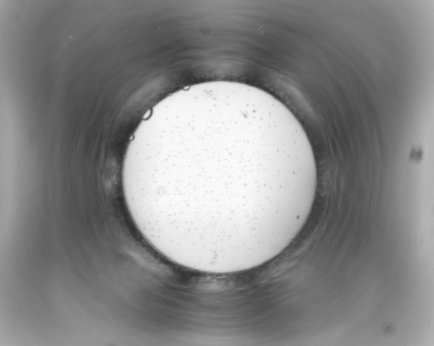 X0000093390077200711011320