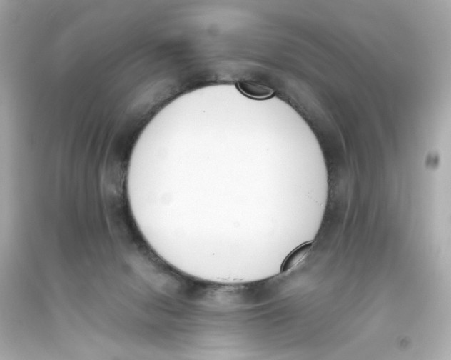 X0000093390078200711011320