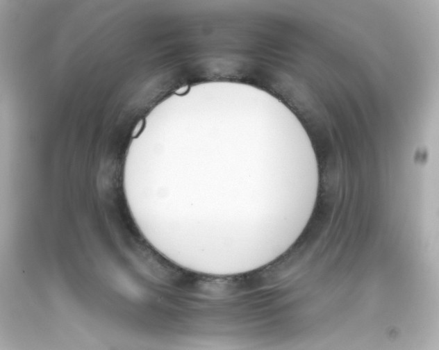 X0000093390079200711011320