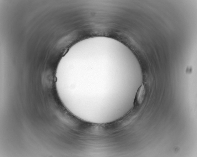 X0000093390080200711011320