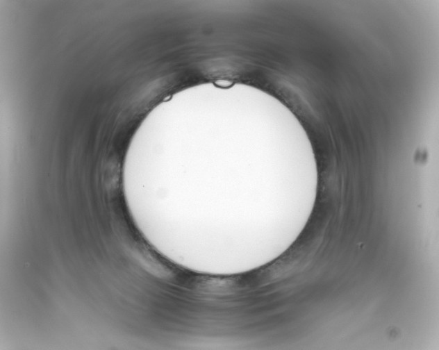 X0000093390081200711011320