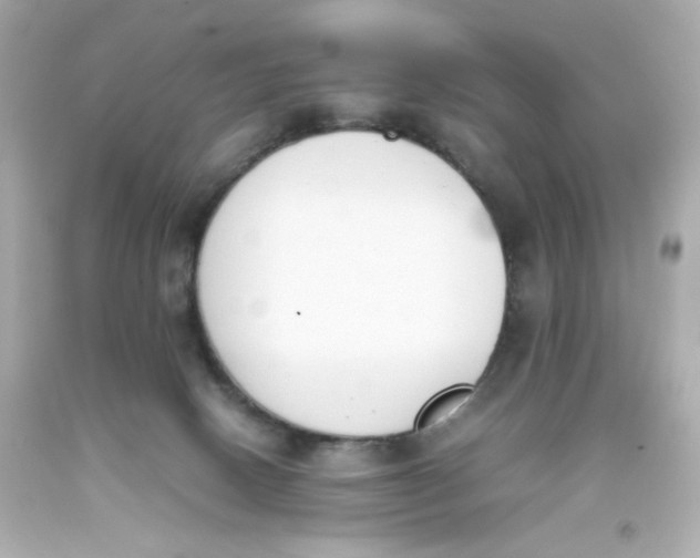 X0000093390082200711011320