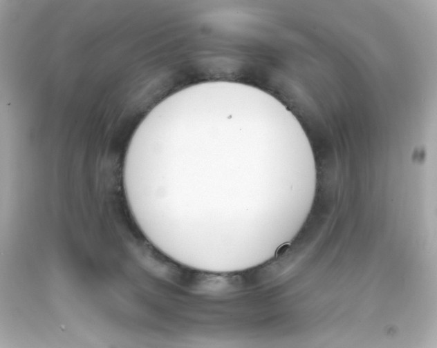 X0000093390083200711011320