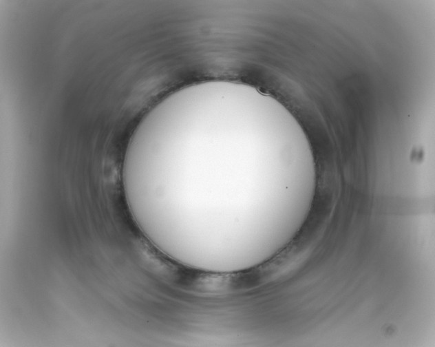 X0000093390084200711011320