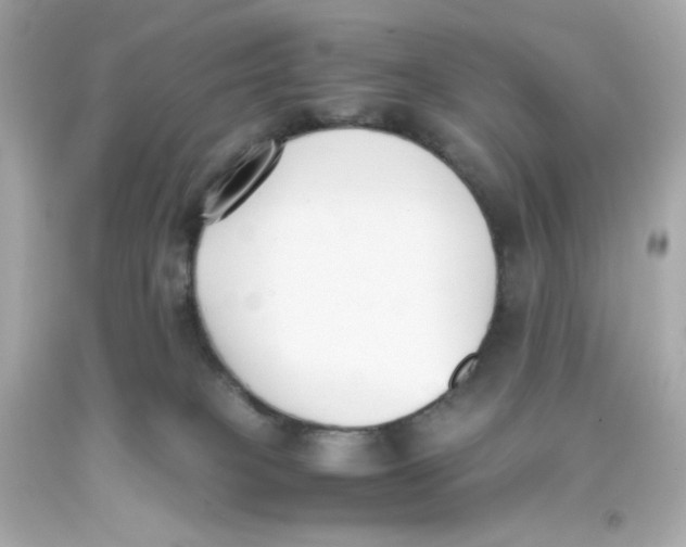 X0000093390085200711011320