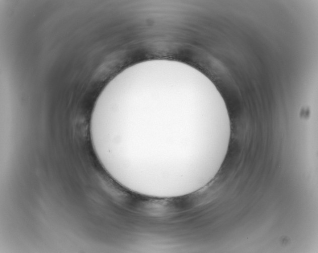 X0000093390086200711011320