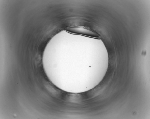 X0000093390087200711011320