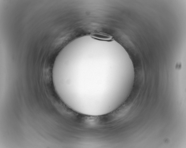 X0000093390088200711011320