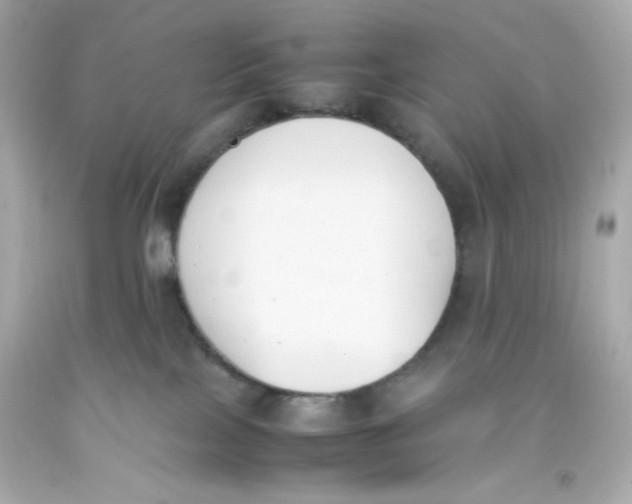 X0000093390089200711011320