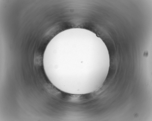 X0000093390090200711011320