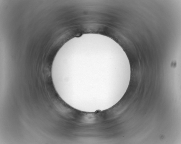 X0000093390091200711011320