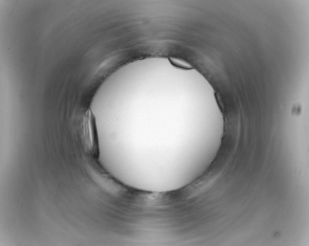 X0000093390092200711011320