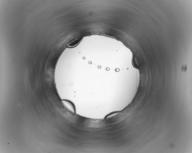 X0000093390093200711011320